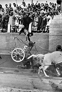 фото Джо Канутт