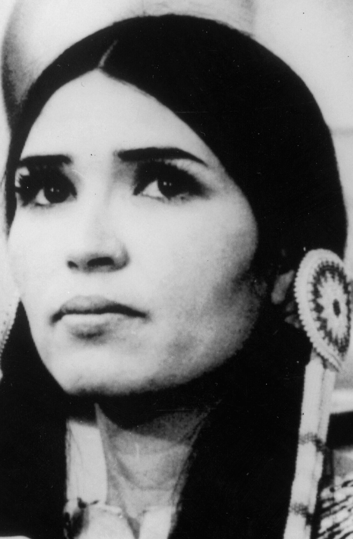 фото Сашин Литтлфезер