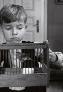 фото Тибо Серье