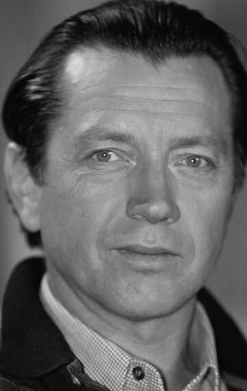 фото Бернар Жиродо