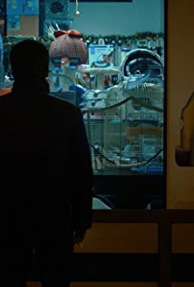 фото Andrei Seusan