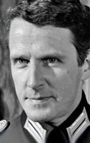 фото Харри Майен