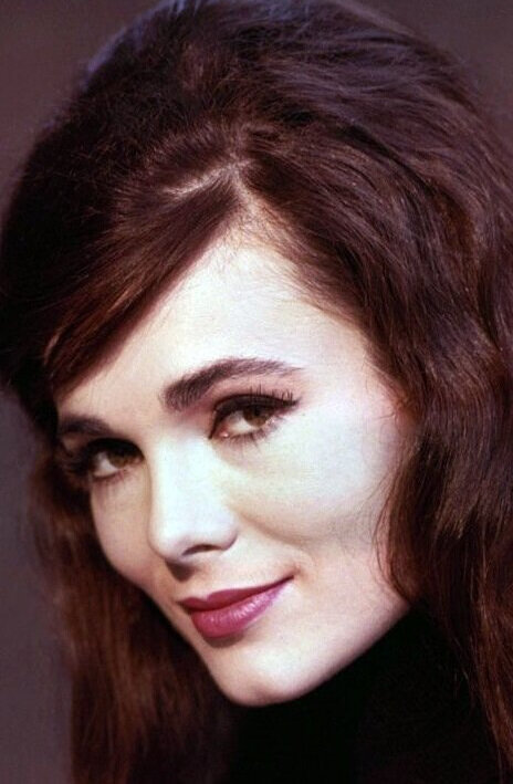 фото Гила Голан