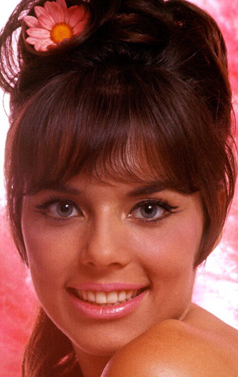 фото Джо Коллинз