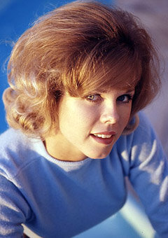 фото Сью Хэмилтон