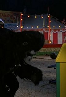 фото Янос Прохаска