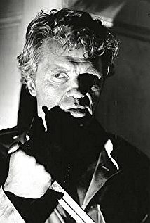 фото Свен Хьюго Борг