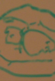 фото Майк Стасси