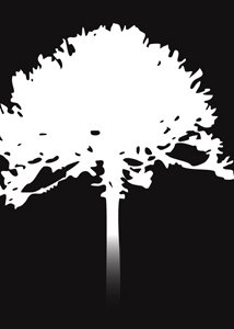 фото Лэнгдон Пейдж