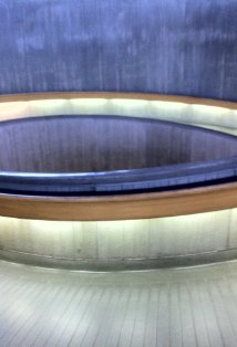 фото Донна Нунан