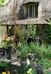 фото Nicola Dietmann