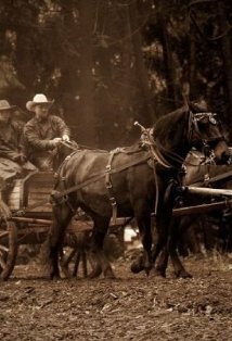 фото Кэндиз Пол