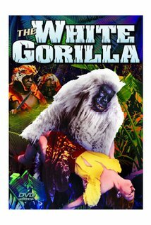 фото Лоррэйн Миллер