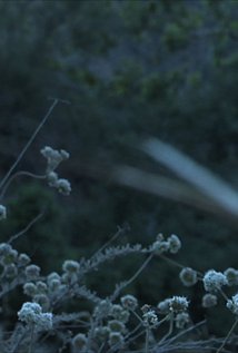 фото Scott Brazee