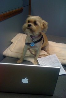 фото Линн Эппелл