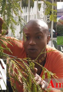 фото Амазон Бирд