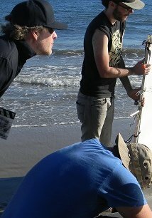 фото Брайан Олбрайт