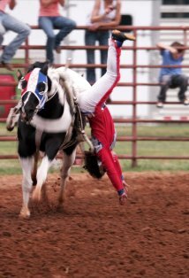 фото Haley Ganzel