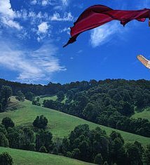 фото Лара Дим