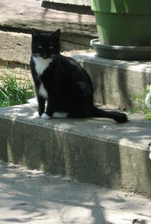 фото Патриция Джонс