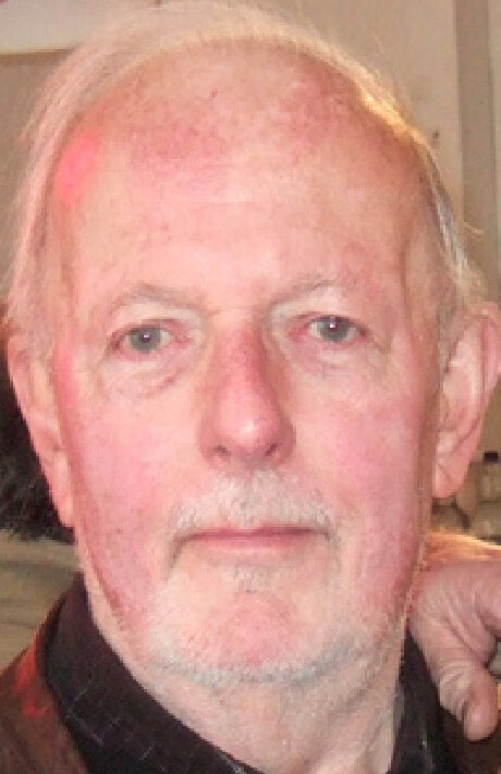 фото Робин Виджон