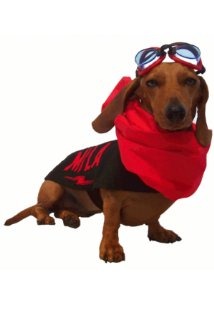 фото Mila Miesner