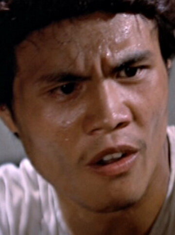 фото Халливуд Лам