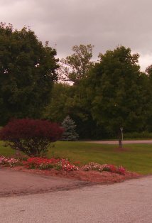 фото Селин ду Тертре