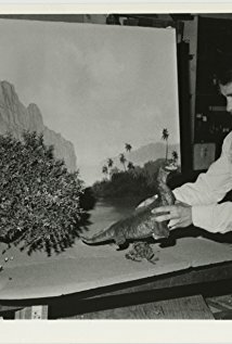 фото Дэйв Аллен