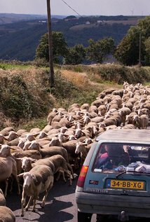 фото Myrthe Mosterman