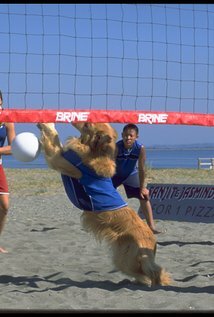 фото Тайлер Бойссонно