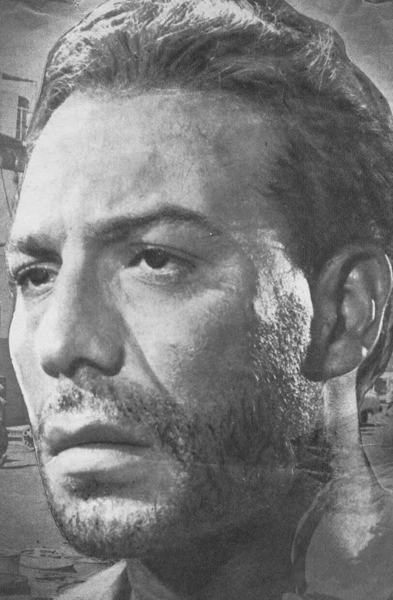 фото Фарид Шауки