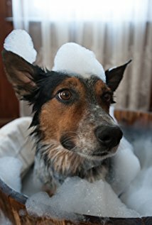 фото Джампи