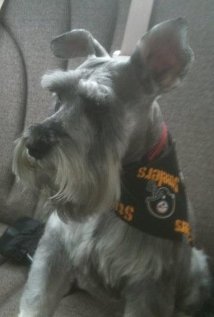 фото Ричард С. Фишел