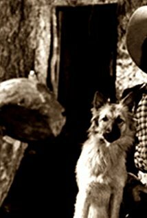 фото Франциско Петроун