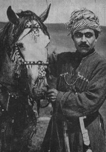 фото Михаил Гарагаш