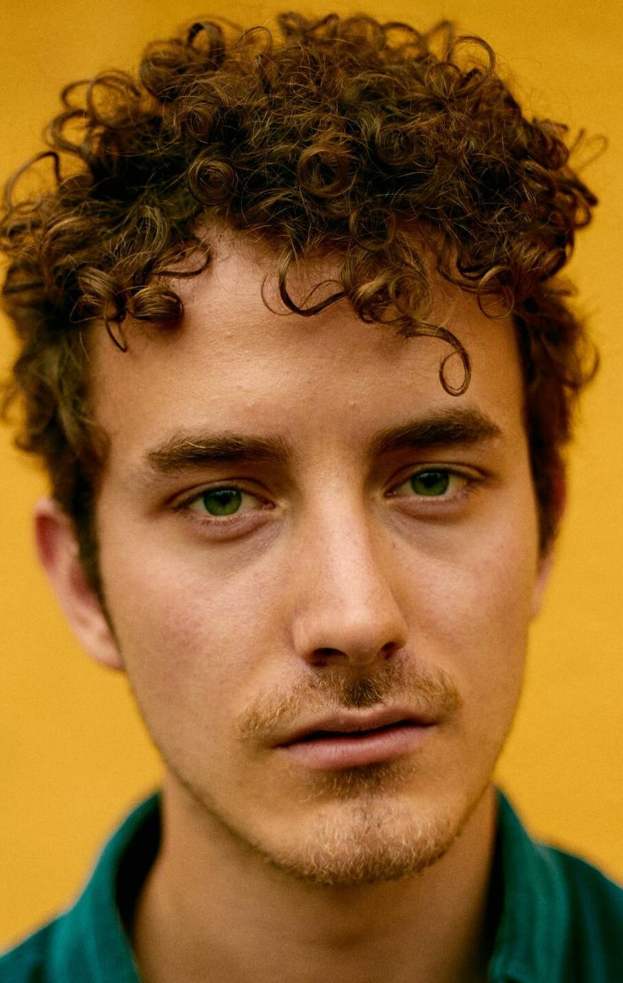 фото Давид Хуго Шмиц