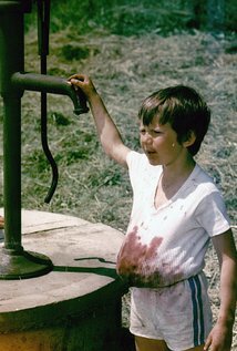 фото Томаш Холы