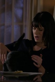 фото Салем зе Кэт