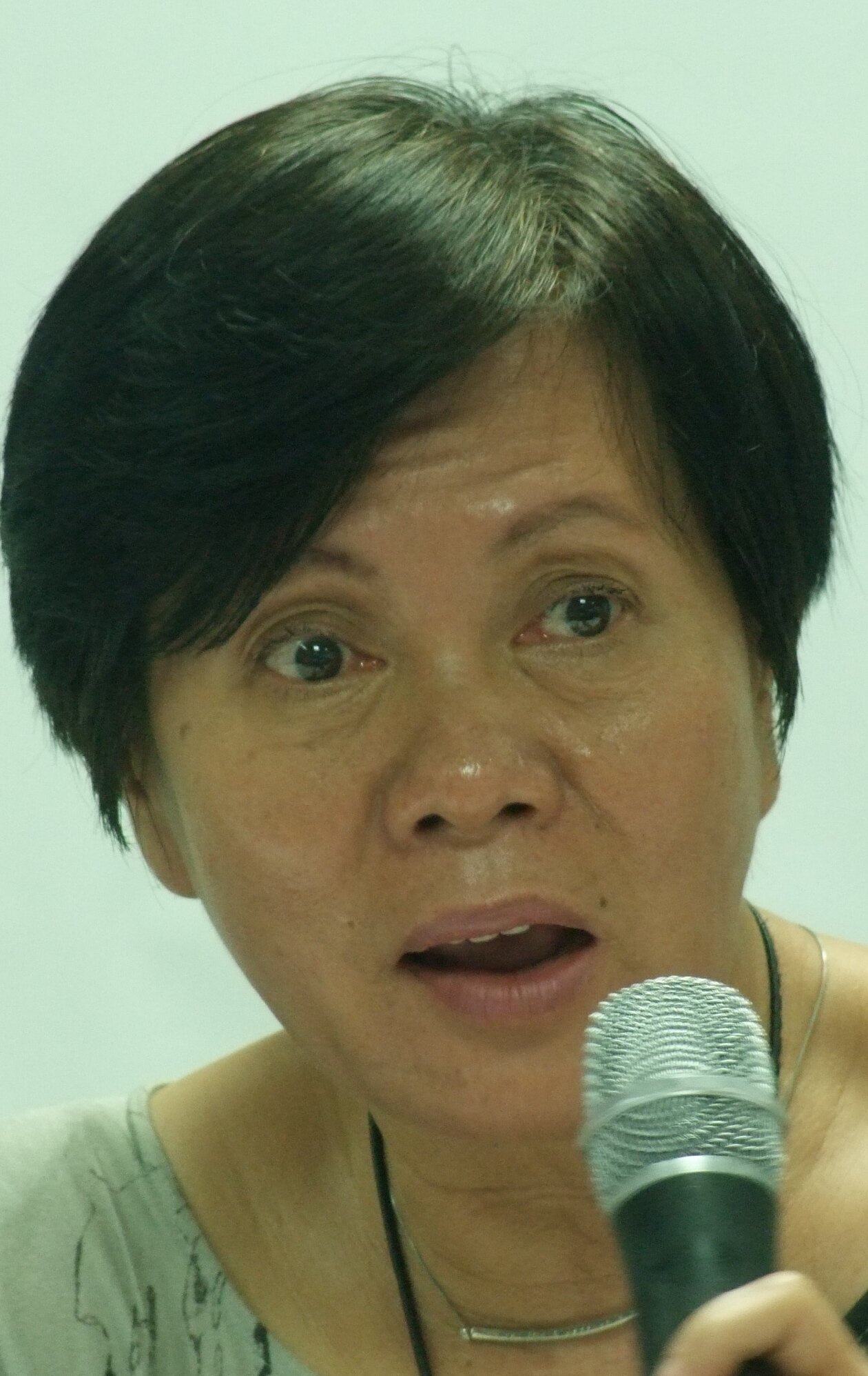 фото Лин Вьет