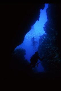 фото Harry Rabin