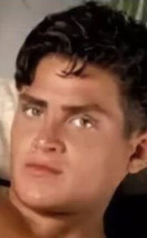 фото Джои Вердуччи