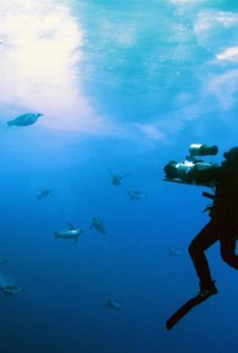 фото Дидье Нуаре