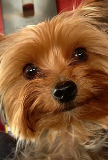 фото Arwen Green