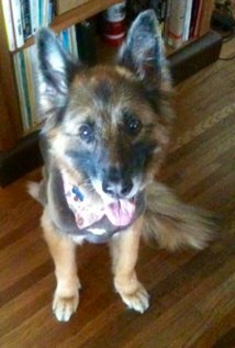 фото John Michael Plante