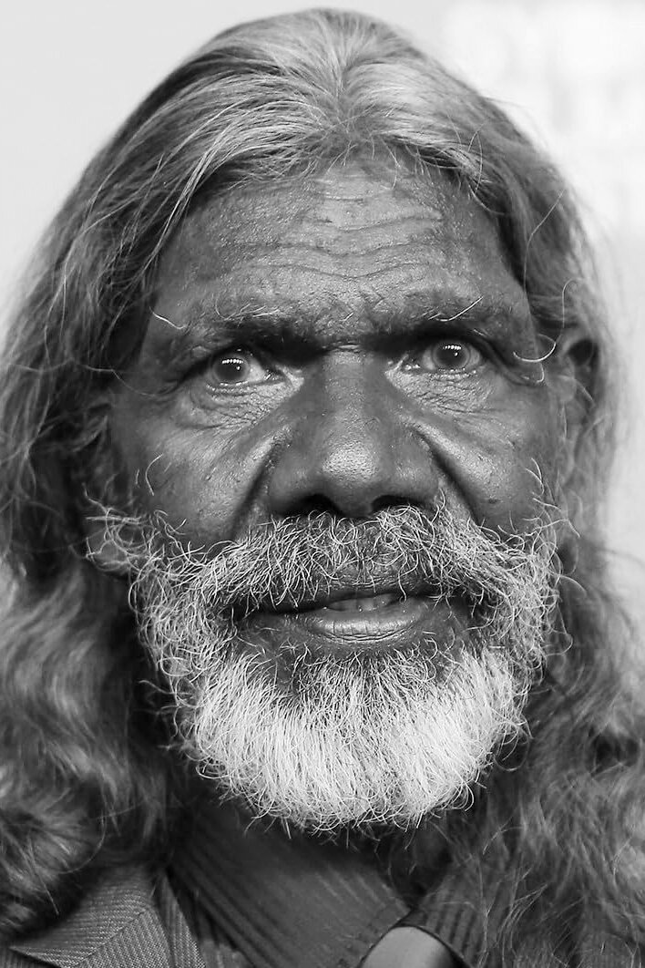 фото Дэвид Галпилил