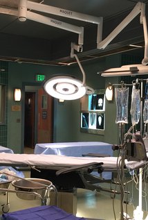 фото Л.Дж. Ходишелл