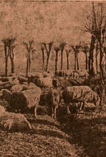 фото Gigetta Morano