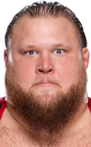 фото Никола Богойевич