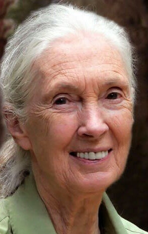 фото Джейн Гудолл